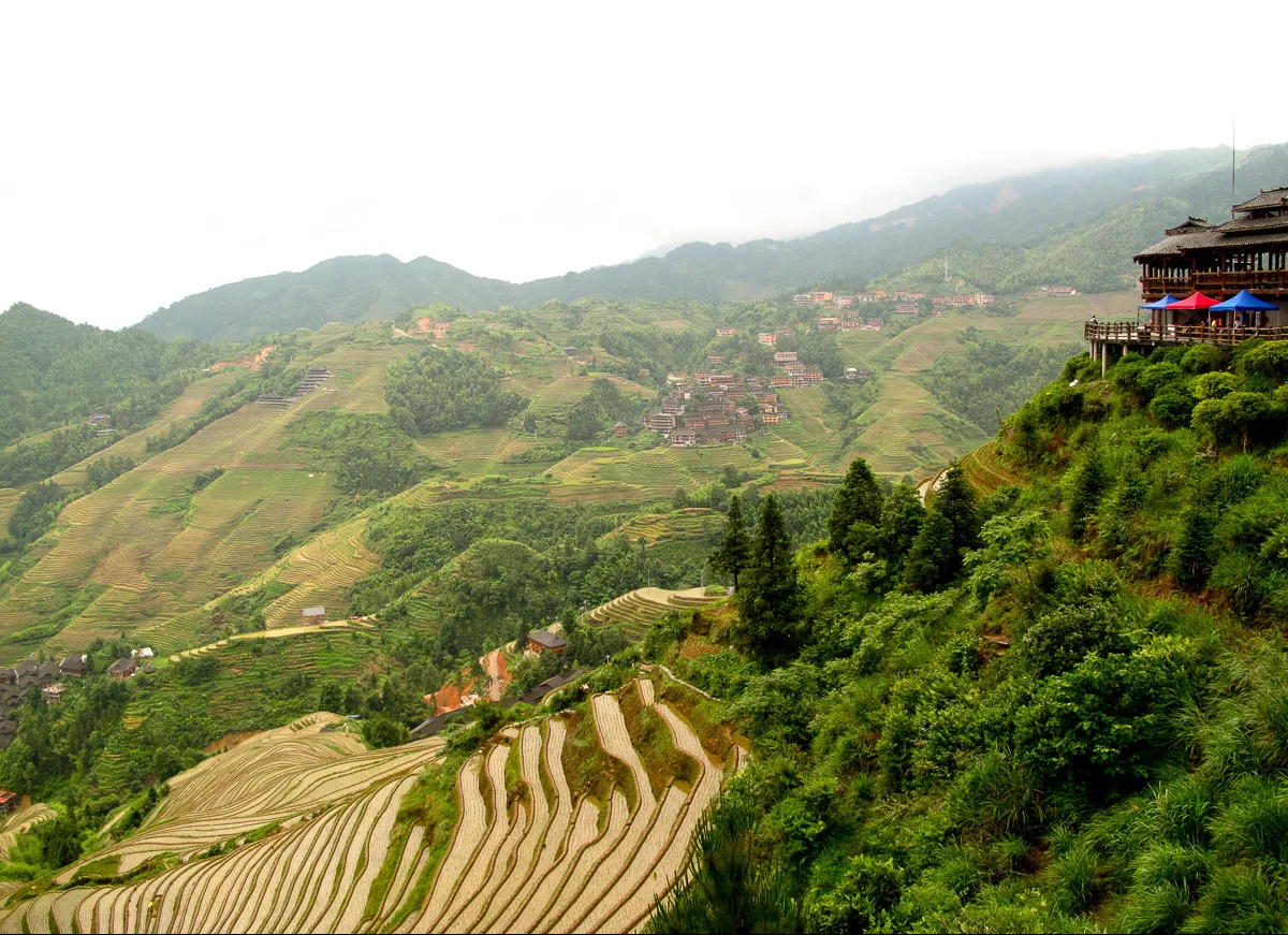 Option : les rizières en terrasses de Longji